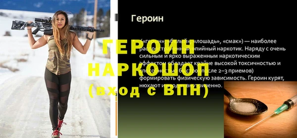 индика Карпинск