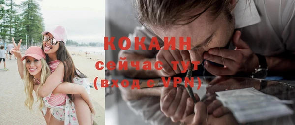 индика Карпинск