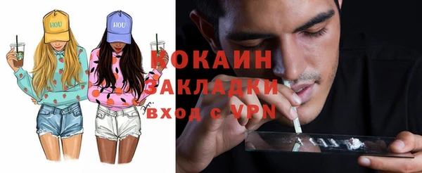 индика Карпинск