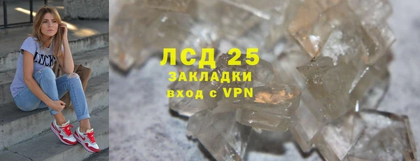 индика Карпинск