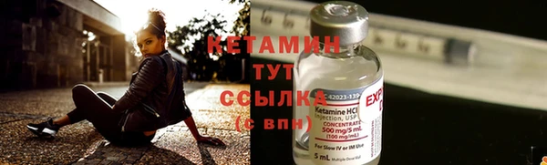 индика Карпинск
