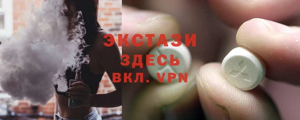 индика Карпинск