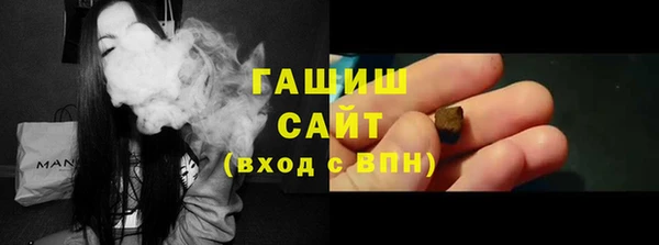 индика Карпинск