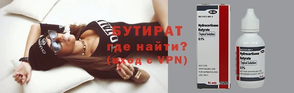 индика Карпинск
