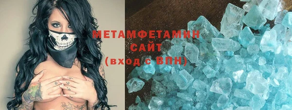 индика Карпинск