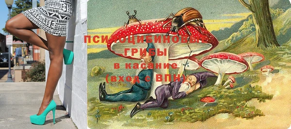 индика Карпинск