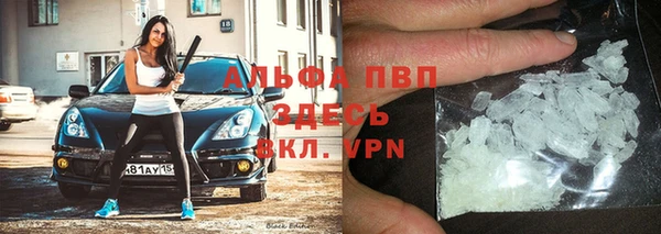 индика Карпинск