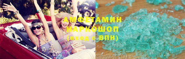 индика Карпинск