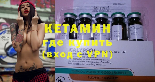 индика Карпинск