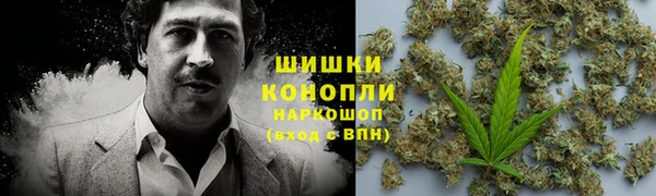 индика Карпинск