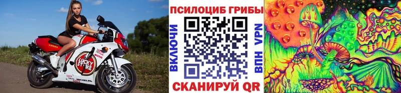 Галлюциногенные грибы Psilocybe Купить закладки Бирск